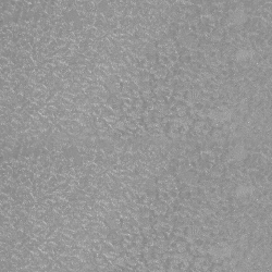 Papel De Parede Classici 4 4A095411R