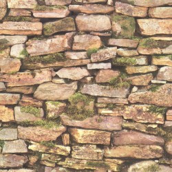 Papel de parede, pedras com folhagem