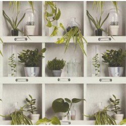 Papel de parede, fotomontagem, prateleira de plantas. Colorido
