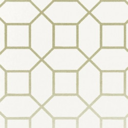 Papel de Parede Neo Geometric NG1973
