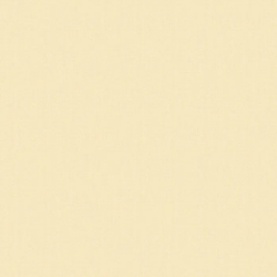 Papel de Parede Pippo 463-4