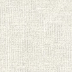 Papel de Parede SpaceIX 9S160602
