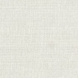 Papel de Parede SpaceIX 9S160603
