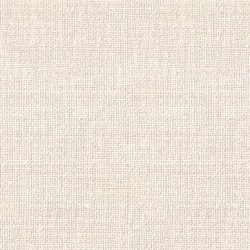 Papel de Parede SpaceIX 9S160606