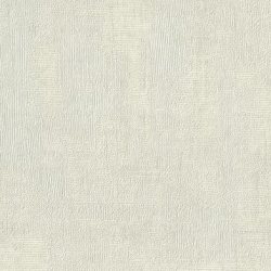 Papel de Parede SpaceIX 9S161001