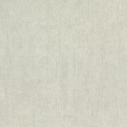 Papel de Parede SpaceIX 9S161002