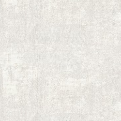 Papel de Parede SpaceIX 9S161004