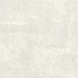 Papel de Parede SpaceIX 9S161005