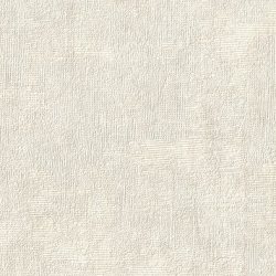 Papel de Parede SpaceIX 9S161006