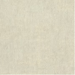 Papel de Parede SpaceIX 9S161007