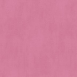 Papel de Parede Sweet Dream ND21136