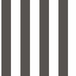 Papel de Parede Top Stripes 38449