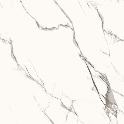 Papel de Parede Vince V1012-20