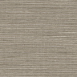 Papel de Parede Vince V1012-31