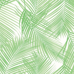 Papel de Parede Vince V1012-56
