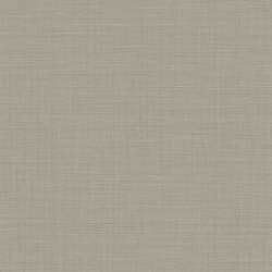 papel de parede Evolution 2 15867