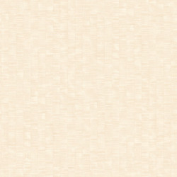 papel de parede Evolution 2 20754