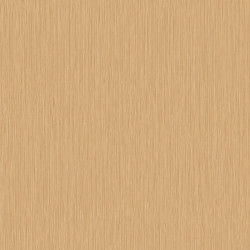 papel de parede Evolution 2 20770
